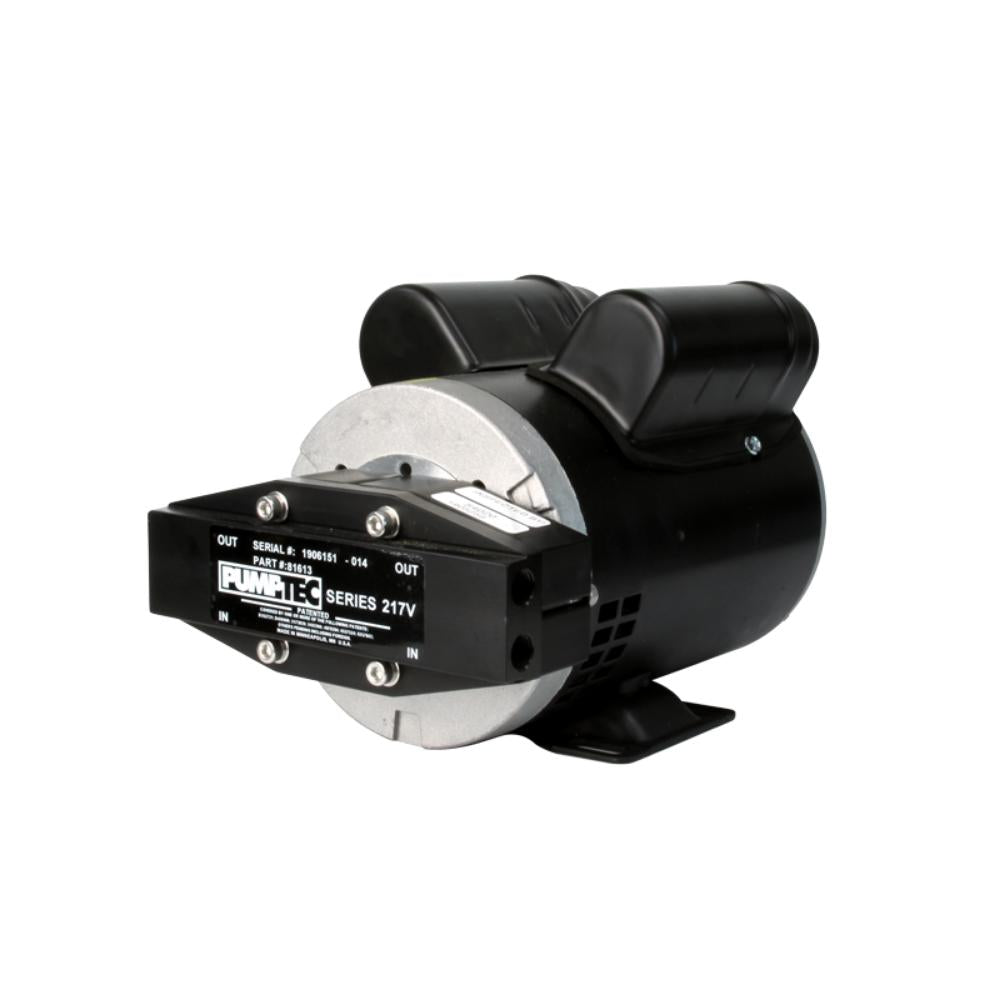 Black and silver pump on a white background
