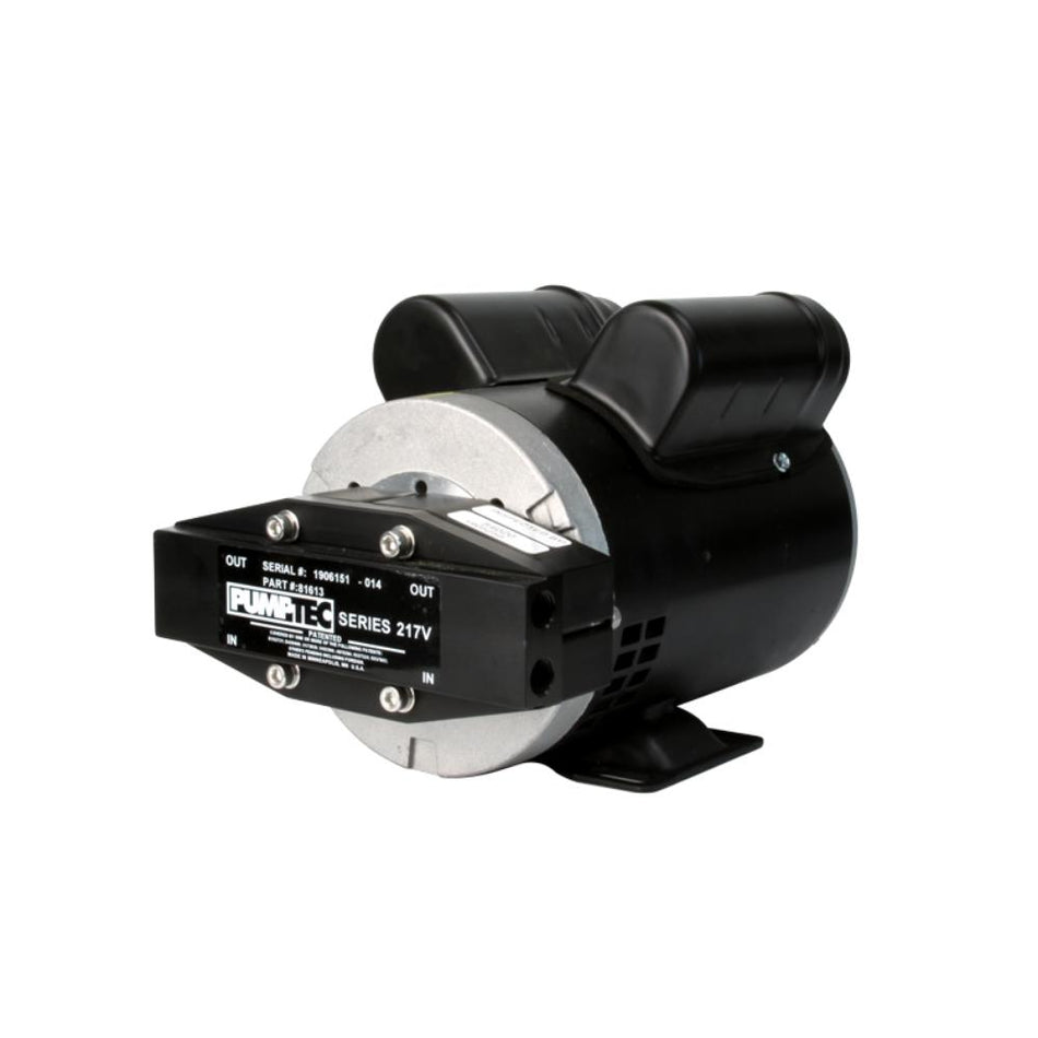 Black and silver pump on a white background