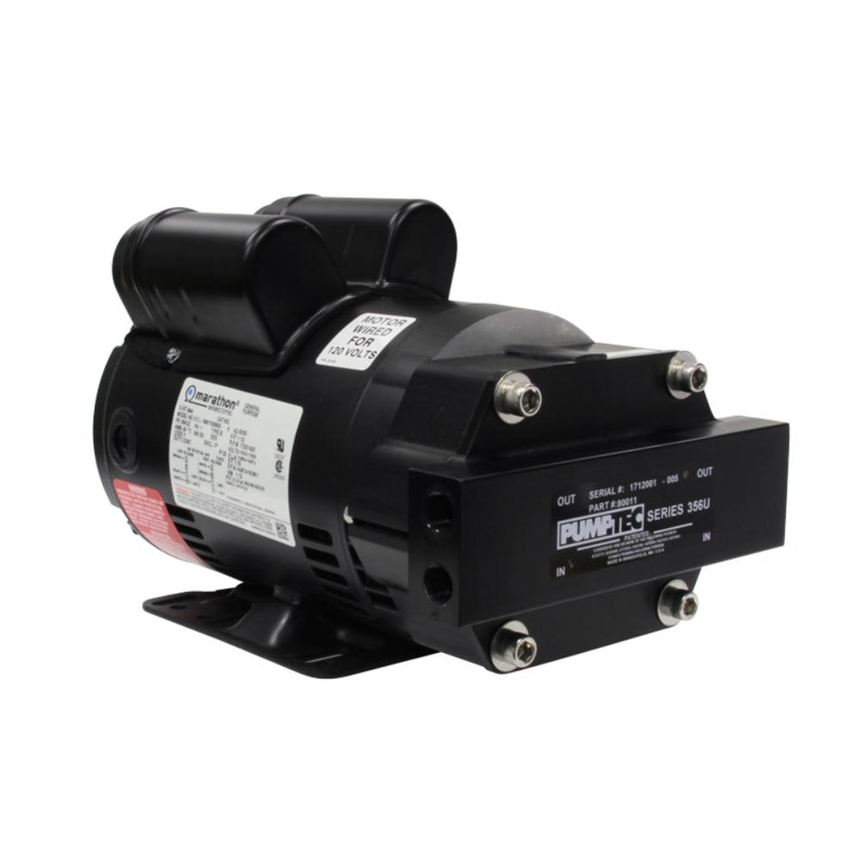 Black pump on a white background