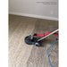 Mytee_T-Rex Carpet cleaning machine on a beige carpet with a white wall in the background.