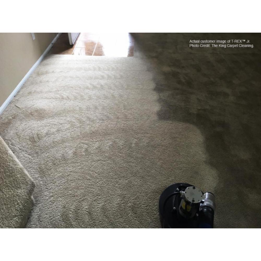 Mytee_T_Rex_Rotary_Extractor Carpet cleaning process with a cleaning machine on a beige carpet