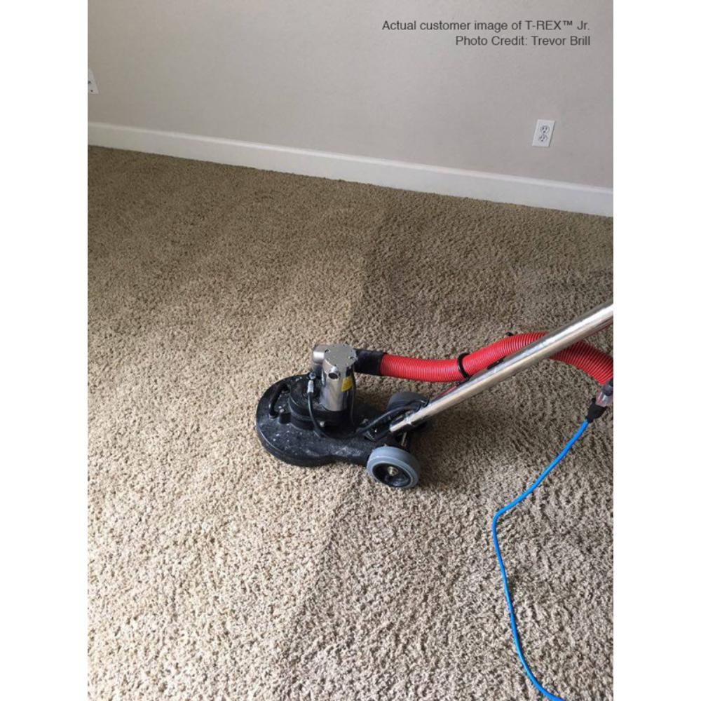 Carpet cleaning machine on a beige carpet with a white wall in the background.